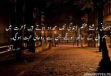 Maula Ali a.s Quotes
